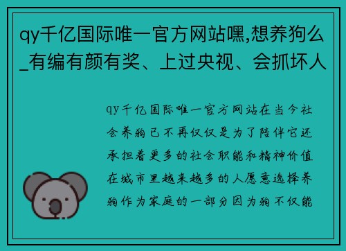 qy千亿国际唯一官方网站嘿,想养狗么_有编有颜有奖、上过央视、会抓坏人的那种……